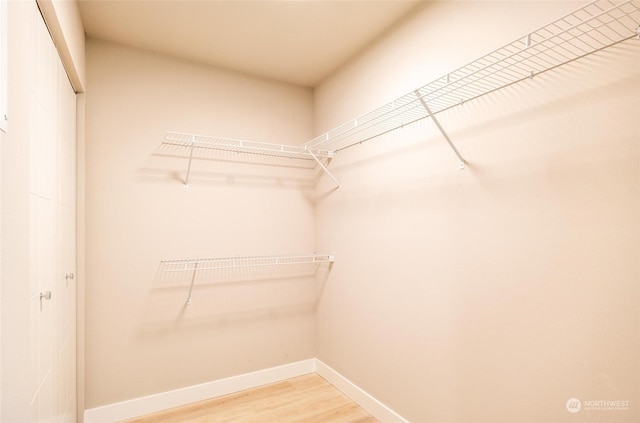 spacious closet featuring wood-type flooring