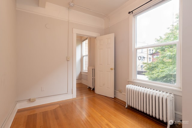 spare room with light hardwood / wood-style floors, plenty of natural light, and radiator