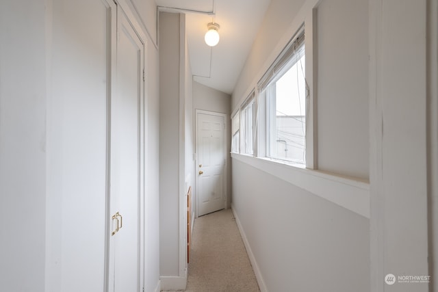 corridor with carpet floors