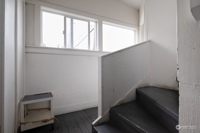 stairs with a healthy amount of sunlight and dark hardwood / wood-style flooring