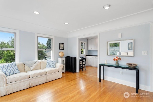 living room with hardwood / wood-style flooring, a healthy amount of sunlight, and radiator heating unit