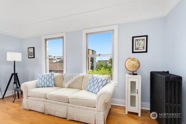 living room featuring hardwood / wood-style flooring and radiator