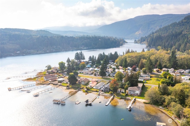 aerial view with a view of trees and a water and mountain view