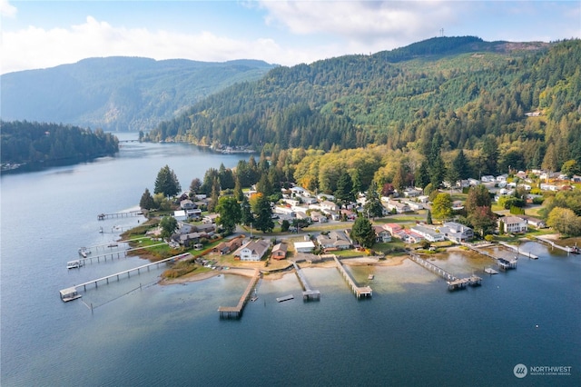 bird's eye view with a water and mountain view and a view of trees