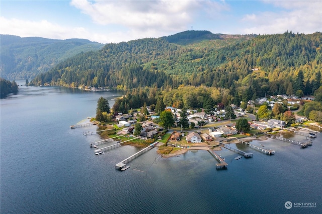 drone / aerial view with a view of trees and a water and mountain view