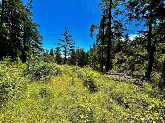 0 Salmonberry Ln, Friday Harbor, WA 98250