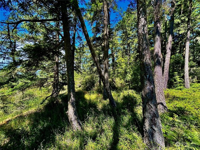 0 Salmonberry Ln, Friday Harbor, WA 98250