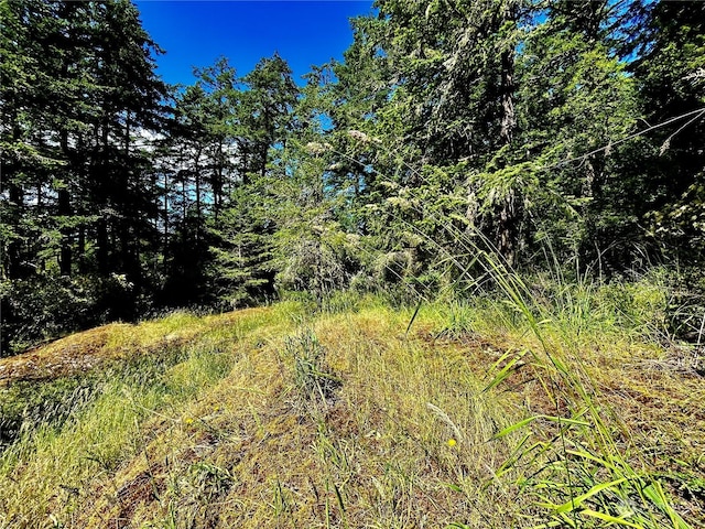 0 Salmonberry Ln, Friday Harbor, WA 98250