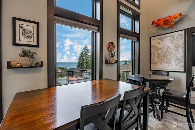 dining room with a water view and light hardwood / wood-style flooring