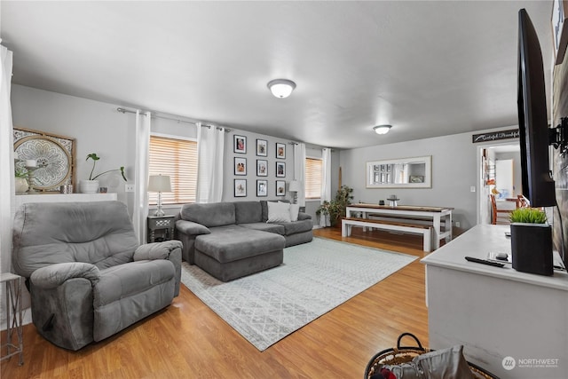 living room with hardwood / wood-style floors