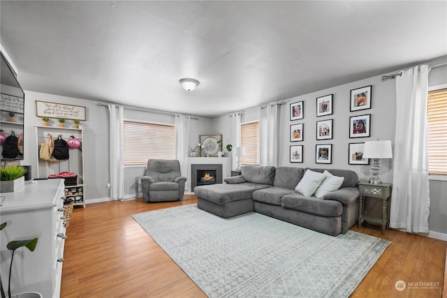 living room with wood-type flooring