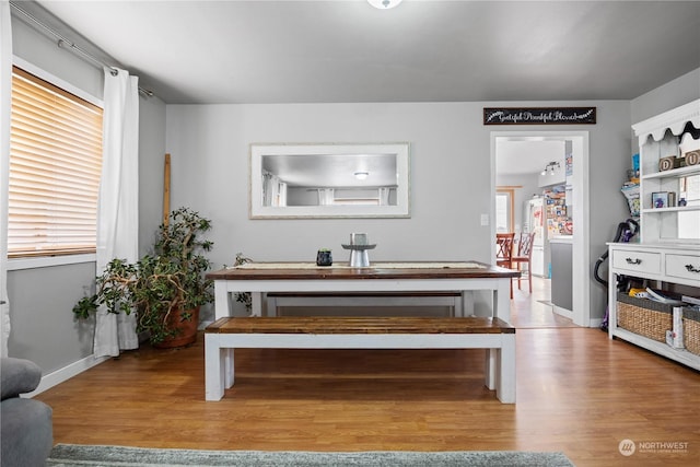 dining room with hardwood / wood-style flooring