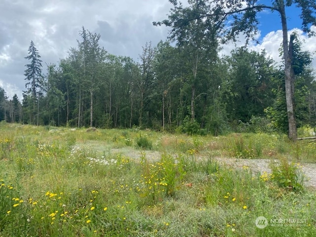 35311 48th Ave S, Roy WA, 98580 land for sale