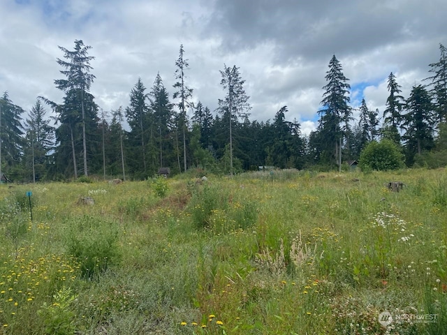 35311 48th Ave S, Roy, WA 98580 - photo 2