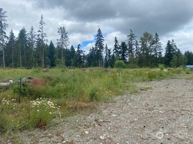 35311 48th Ave S, Roy, WA 98580 - photo 3