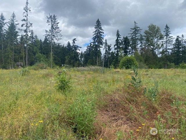 35311 48th Ave S, Roy, WA 98580 - photo 4