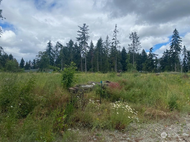 35311 48th Ave S, Roy, WA 98580 - photo 5