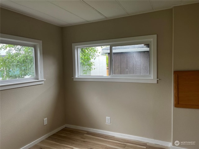 unfurnished room featuring a wealth of natural light and light hardwood / wood-style floors