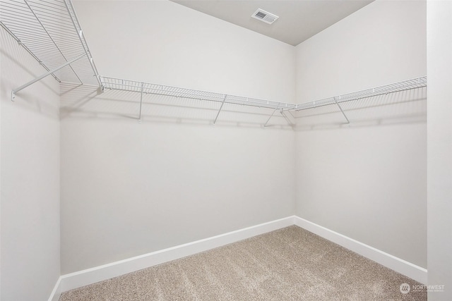 walk in closet with carpet floors