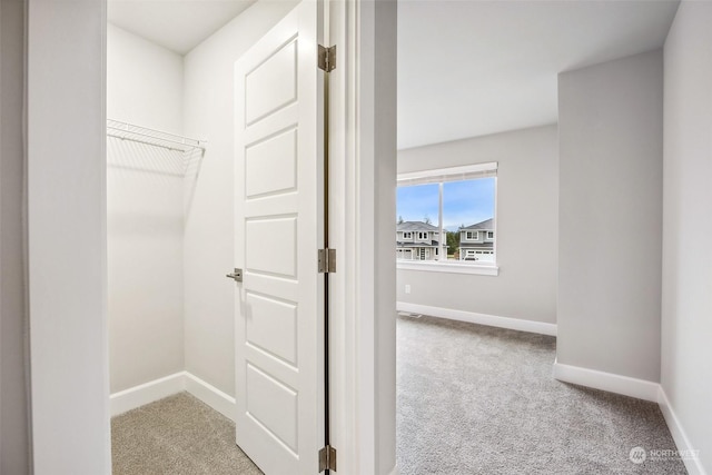 spacious closet with light colored carpet