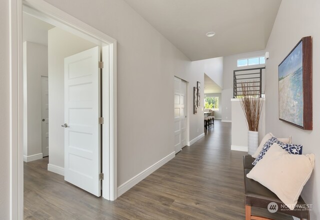 hall featuring dark wood-type flooring