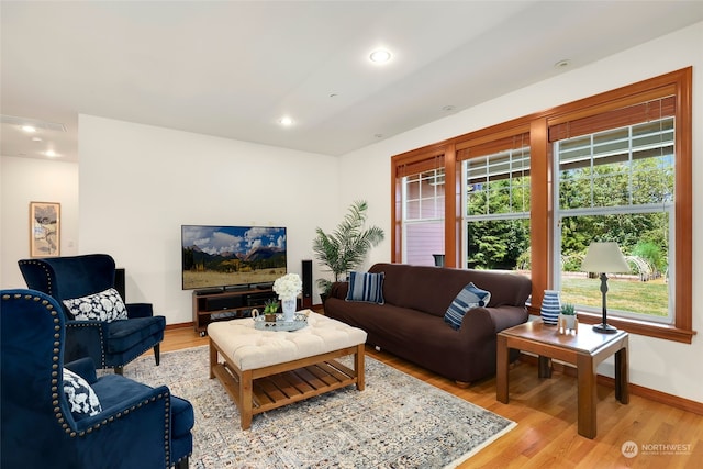 living room featuring wood-type flooring and a healthy amount of sunlight