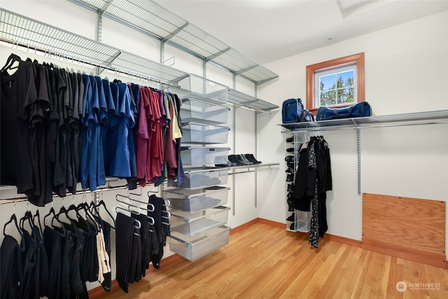 spacious closet with light hardwood / wood-style flooring