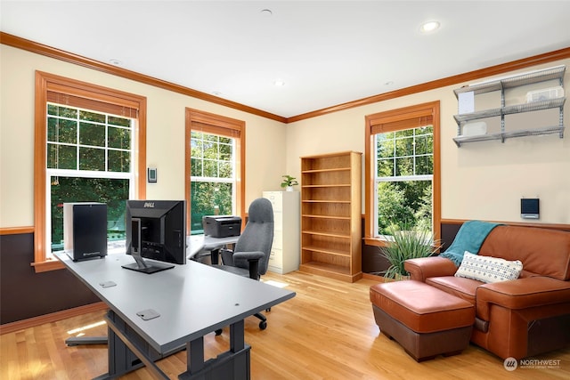 office area featuring plenty of natural light, ornamental molding, and light hardwood / wood-style floors