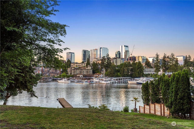 property's view of city featuring a water view