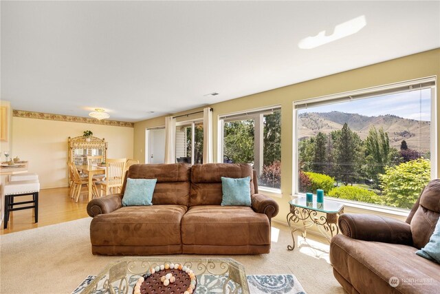 living room featuring a mountain view and hardwood / wood-style floors