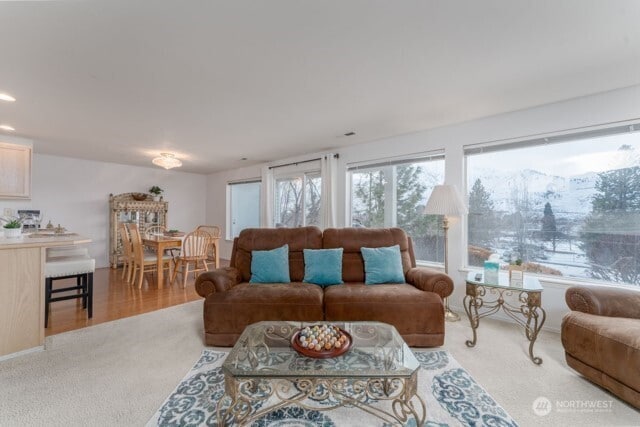 living area with carpet