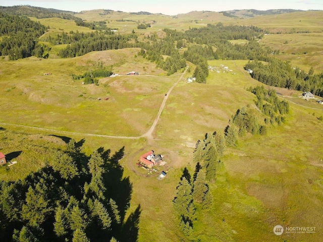 drone / aerial view featuring a rural view