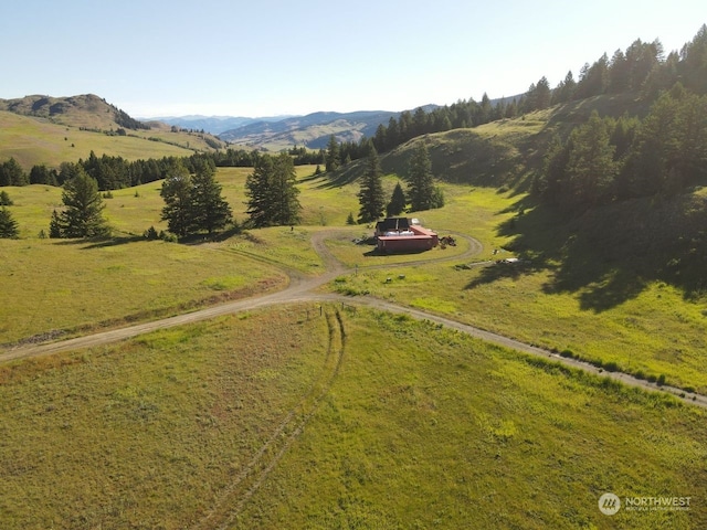 bird's eye view featuring a mountain view and a rural view