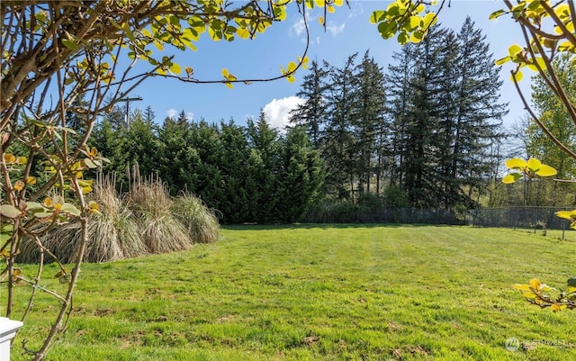 view of yard featuring fence