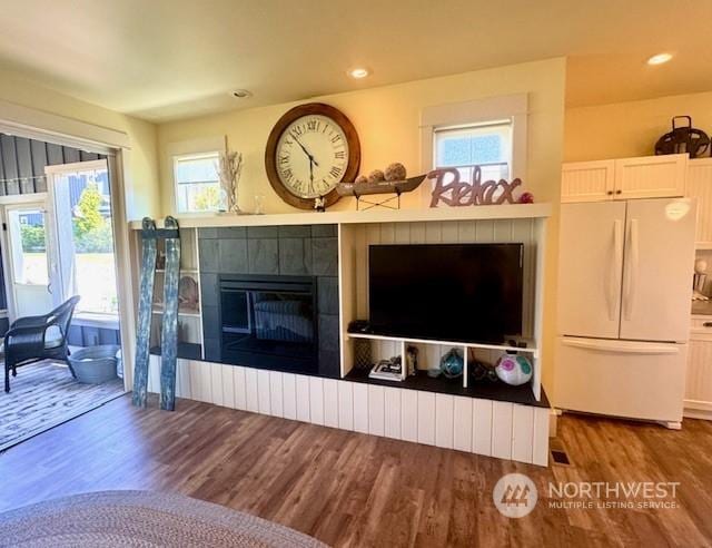 living room with a fireplace and wood-type flooring