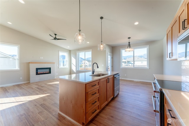 kitchen with appliances with stainless steel finishes, sink, a fireplace, light hardwood / wood-style flooring, and a kitchen island with sink