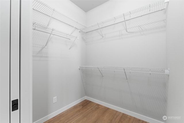 spacious closet featuring wood-type flooring