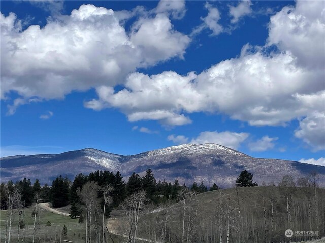 view of mountain feature