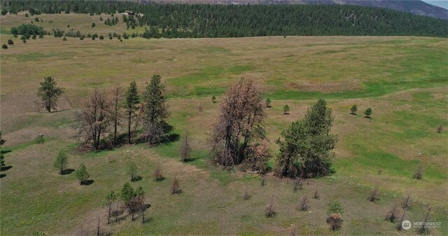 birds eye view of property featuring a rural view