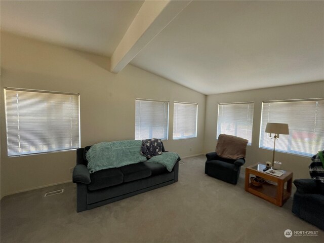 living room featuring carpet, a wealth of natural light, and lofted ceiling with beams