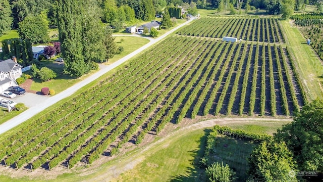 bird's eye view with a rural view