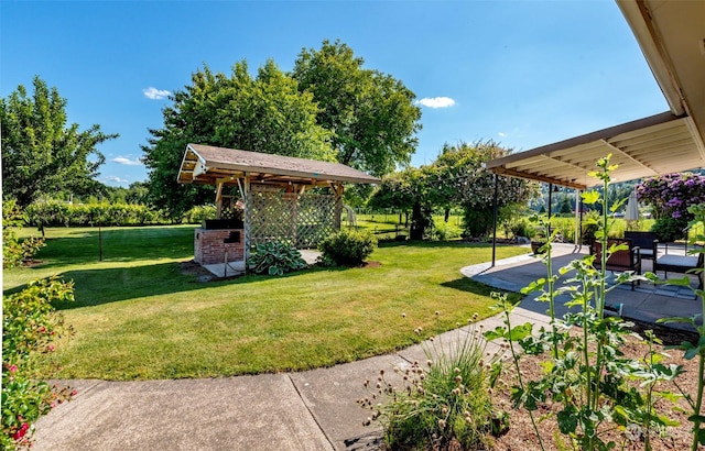 view of yard featuring a pergola and a patio area