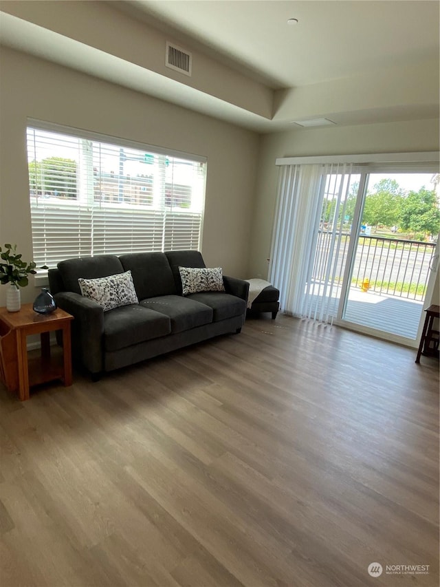 living room featuring hardwood / wood-style floors