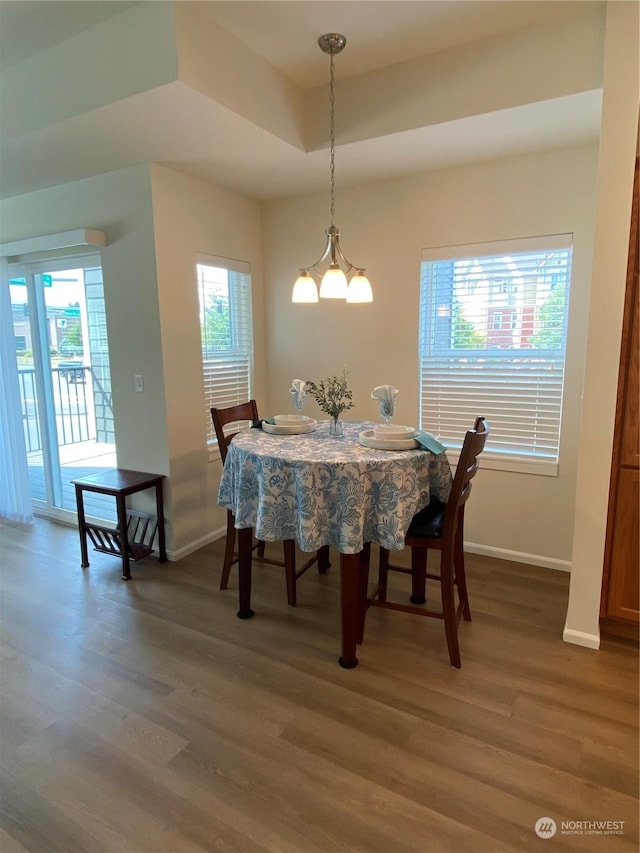 dining space with a tray ceiling, a wealth of natural light, and hardwood / wood-style floors