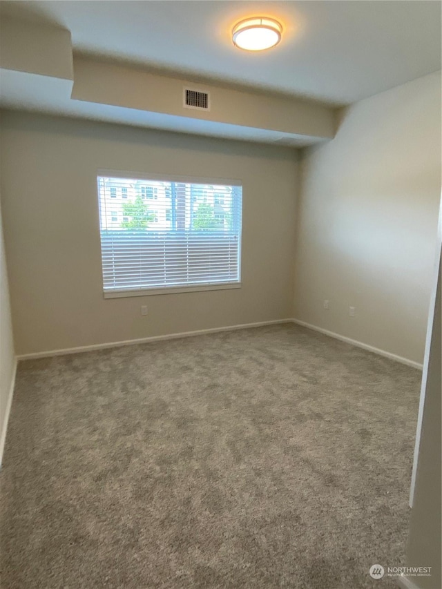 spare room with carpet