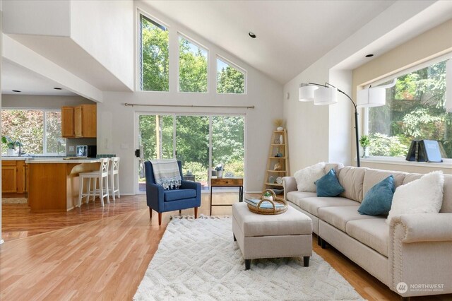 living room with high vaulted ceiling, sink, and light wood-type flooring