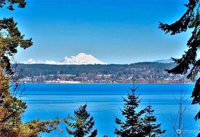 884 E Seabluff Ter, Coupeville, WA 98239 - photo 1