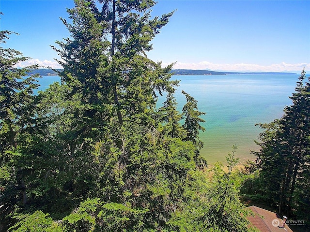 884 E Seabluff Ter, Coupeville, WA 98239 - photo 3