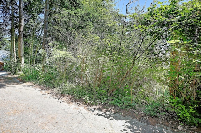 884 E Seabluff Ter, Coupeville, WA 98239 - photo 4