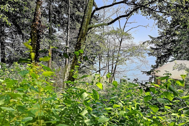 884 E Seabluff Ter, Coupeville, WA 98239 - photo 6